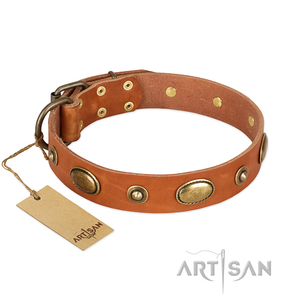 Easy adjustable genuine leather collar for your four-legged friend