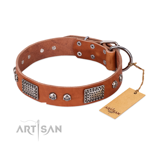 Easy to adjust leather dog collar for daily walking your doggie