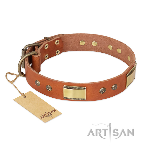 Perfect fit natural genuine leather collar for your dog