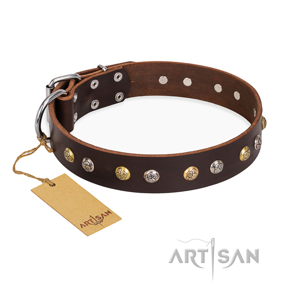 Easy wearing adorned dog collar with reliable buckle