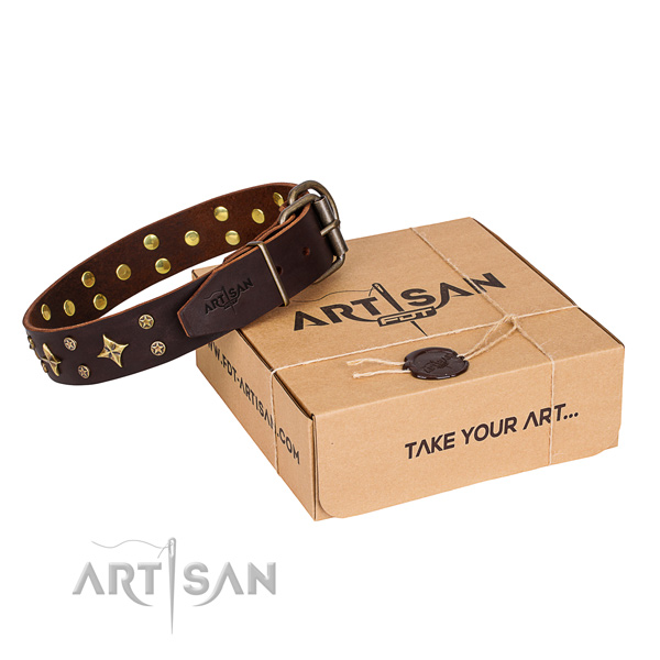 Comfy wearing dog collar of quality full grain leather with adornments