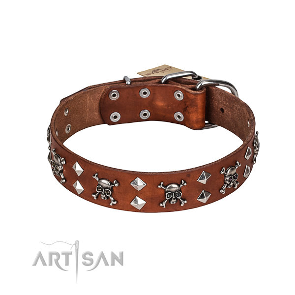 Basic training dog collar of fine quality genuine leather with studs