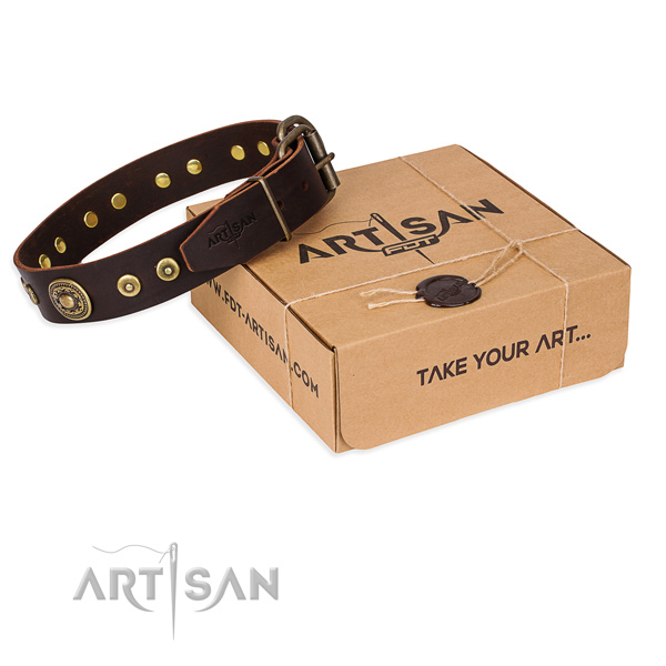 Full grain leather dog collar made of reliable material with reliable fittings