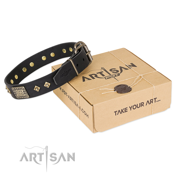 Perfect fit leather collar for your beautiful pet