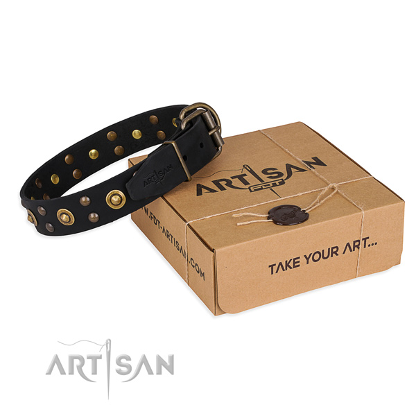 Corrosion proof fittings on full grain leather collar for your stylish canine