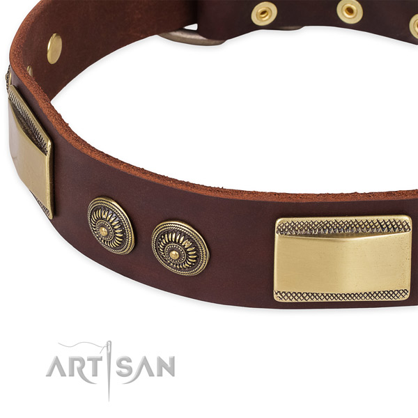 Embellished natural genuine leather collar for your handsome four-legged friend
