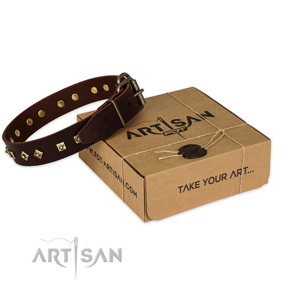 Corrosion proof fittings on full grain natural leather dog collar for stylish walking
