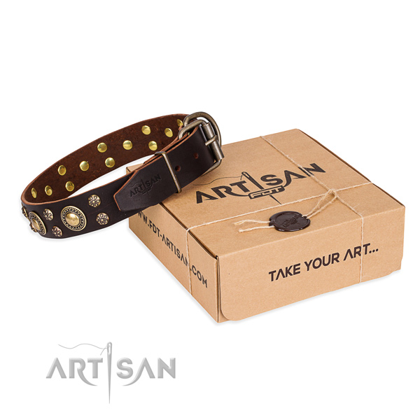 Everyday use dog collar of fine quality genuine leather with studs
