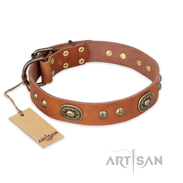 Remarkable full grain leather dog collar for daily walking