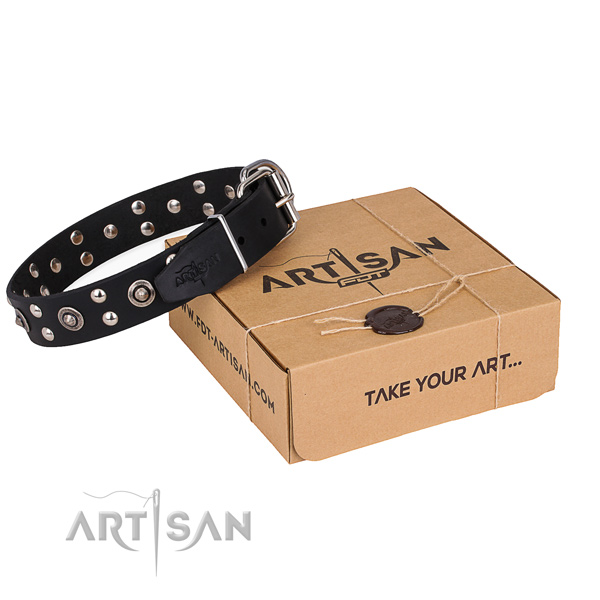 Everyday use dog collar with Stylish design strong adornments