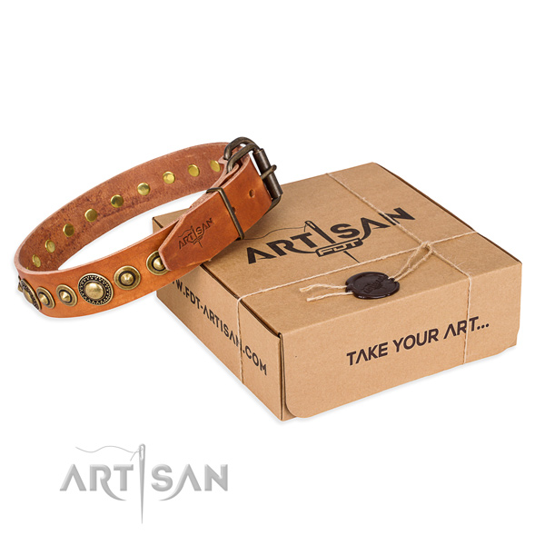 Strong natural genuine leather dog collar crafted for everyday walking