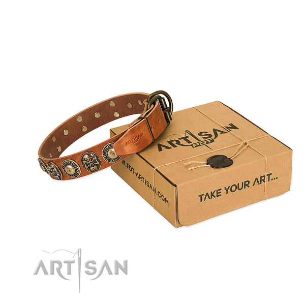 Rust-proof hardware on dog collar for comfortable wearing