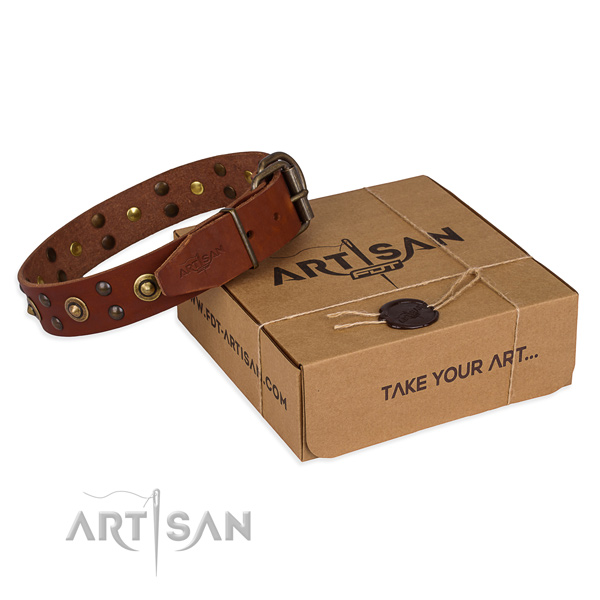 Corrosion proof buckle on full grain genuine leather collar for your lovely canine