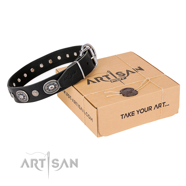 Best quality leather dog collar created for daily use