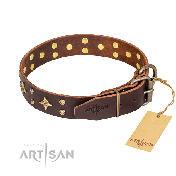 Everyday use decorated dog collar of reliable full grain leather