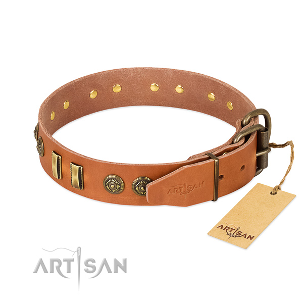 Rust resistant adornments on natural leather dog collar for your canine