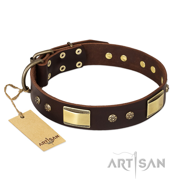 Full grain genuine leather dog collar with rust resistant fittings and adornments