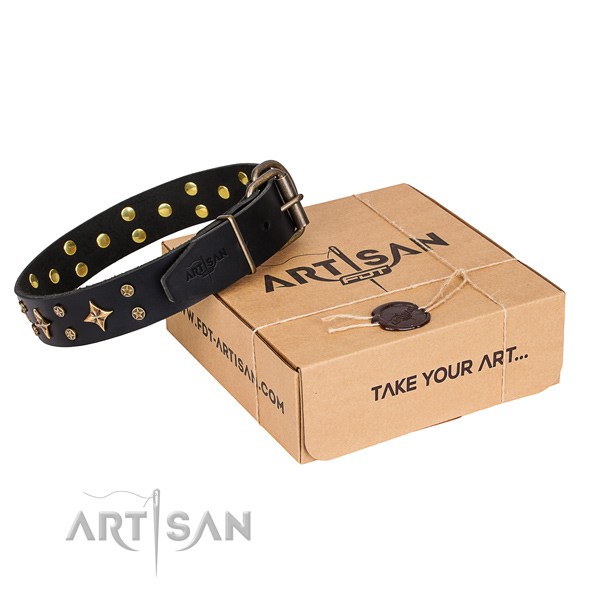 Basic training dog collar of top quality full grain genuine leather with adornments