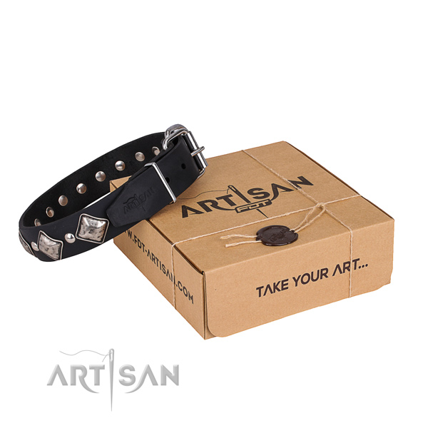 Basic training dog collar of best quality leather with decorations