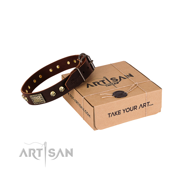 Rust-proof adornments on dog collar for everyday walking