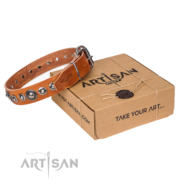 Full grain leather dog collar made of reliable material with rust resistant fittings