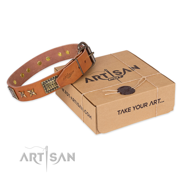 Corrosion proof buckle on genuine leather collar for your stylish four-legged friend