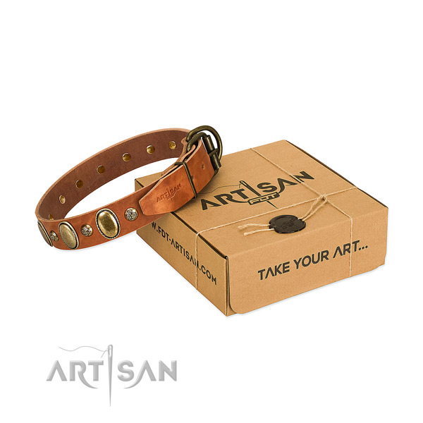 Remarkable full grain natural leather dog collar with corrosion proof buckle