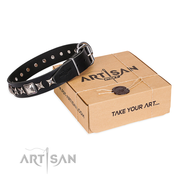 Everyday walking dog collar of finest quality full grain natural leather with studs