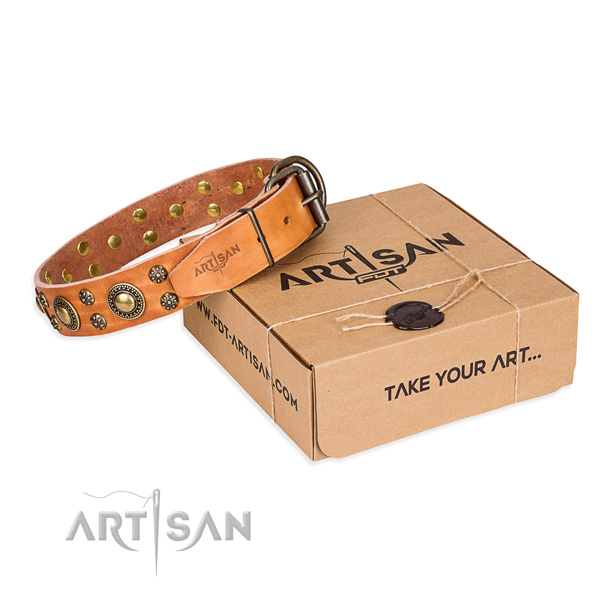 Everyday use dog collar of best quality natural leather with embellishments