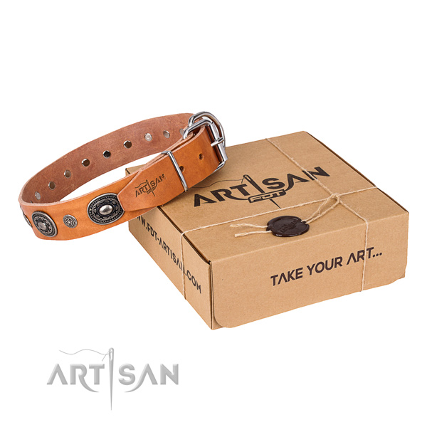 Best quality leather dog collar crafted for daily walking