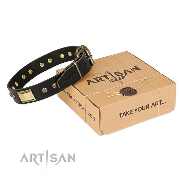 Best quality leather collar for your impressive dog