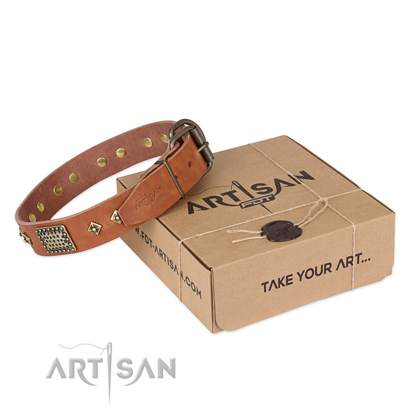 Fashionable leather collar for your lovely canine
