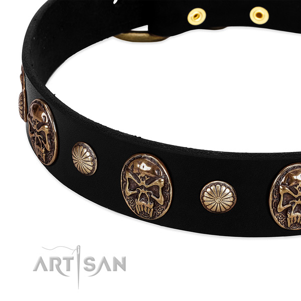 Full grain natural leather dog collar with extraordinary studs