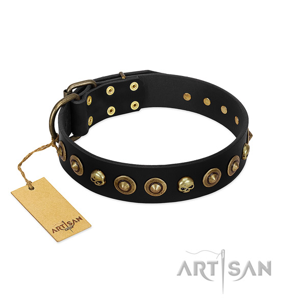 Full grain leather collar with exquisite embellishments for your doggie