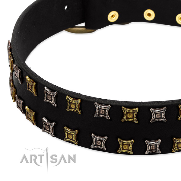 Durable leather dog collar for your beautiful four-legged friend