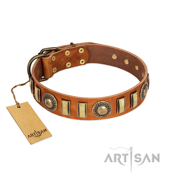 Unique leather dog collar with rust-proof traditional buckle
