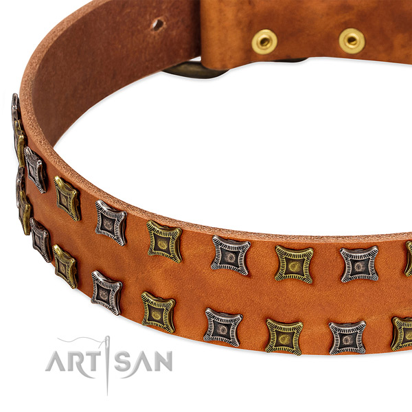 Strong full grain leather dog collar for your beautiful four-legged friend