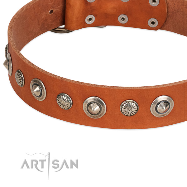 Full grain natural leather collar with strong D-ring for your beautiful four-legged friend