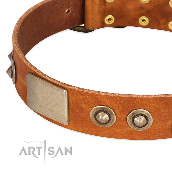 Durable D-ring on full grain genuine leather dog collar for your canine