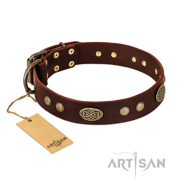 Corrosion resistant adornments on full grain natural leather dog collar for your canine