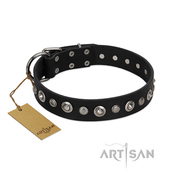 Durable full grain natural leather dog collar with stylish design embellishments