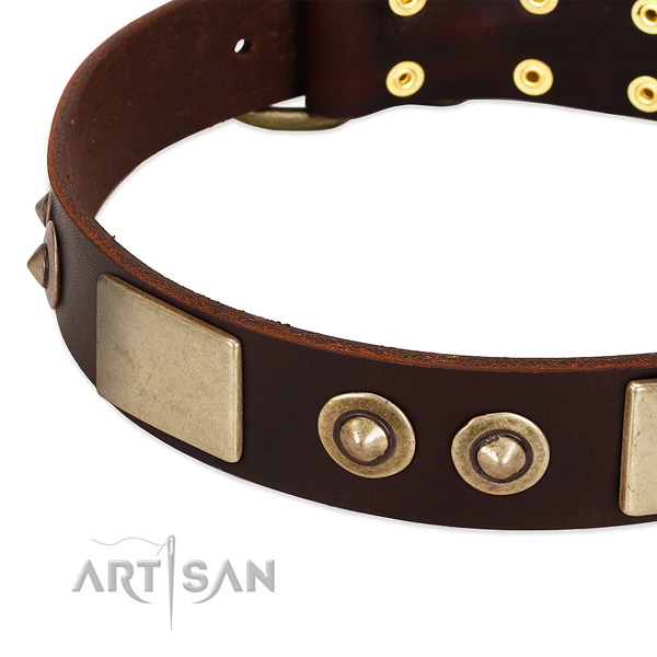 Corrosion resistant D-ring on genuine leather dog collar for your pet