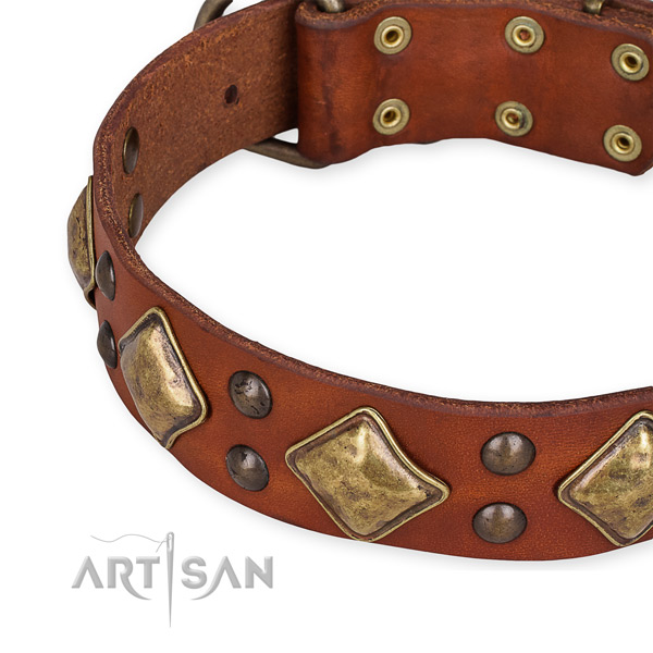 Full grain natural leather collar with rust-proof traditional buckle for your handsome pet