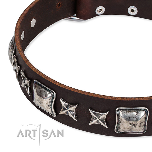 Everyday use studded dog collar of finest quality full grain leather