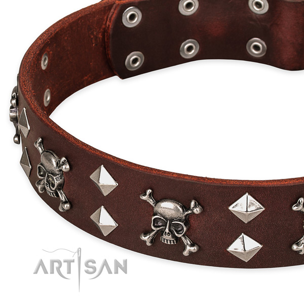 Everyday walking embellished dog collar of durable full grain leather