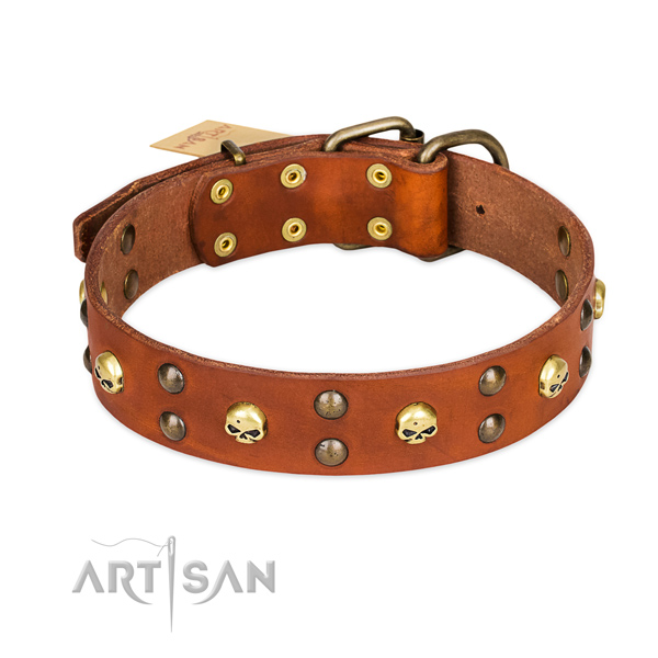 Stylish walking dog collar of quality natural leather with decorations