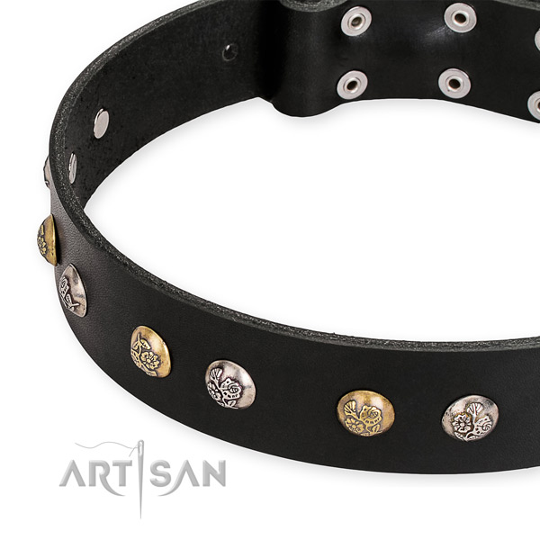 Full grain genuine leather dog collar with remarkable strong studs