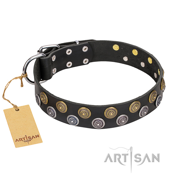 Handy use dog collar of best quality full grain genuine leather with adornments