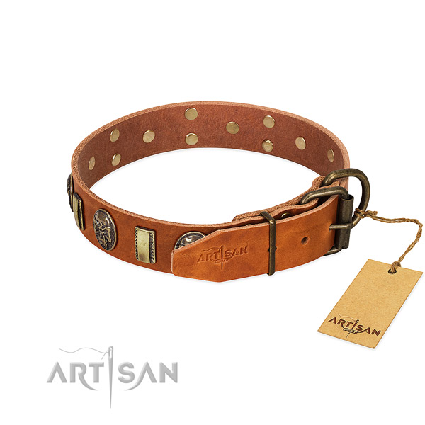 Corrosion proof buckle on genuine leather collar for basic training your doggie