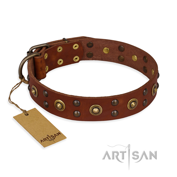Decorated leather dog collar with rust resistant buckle